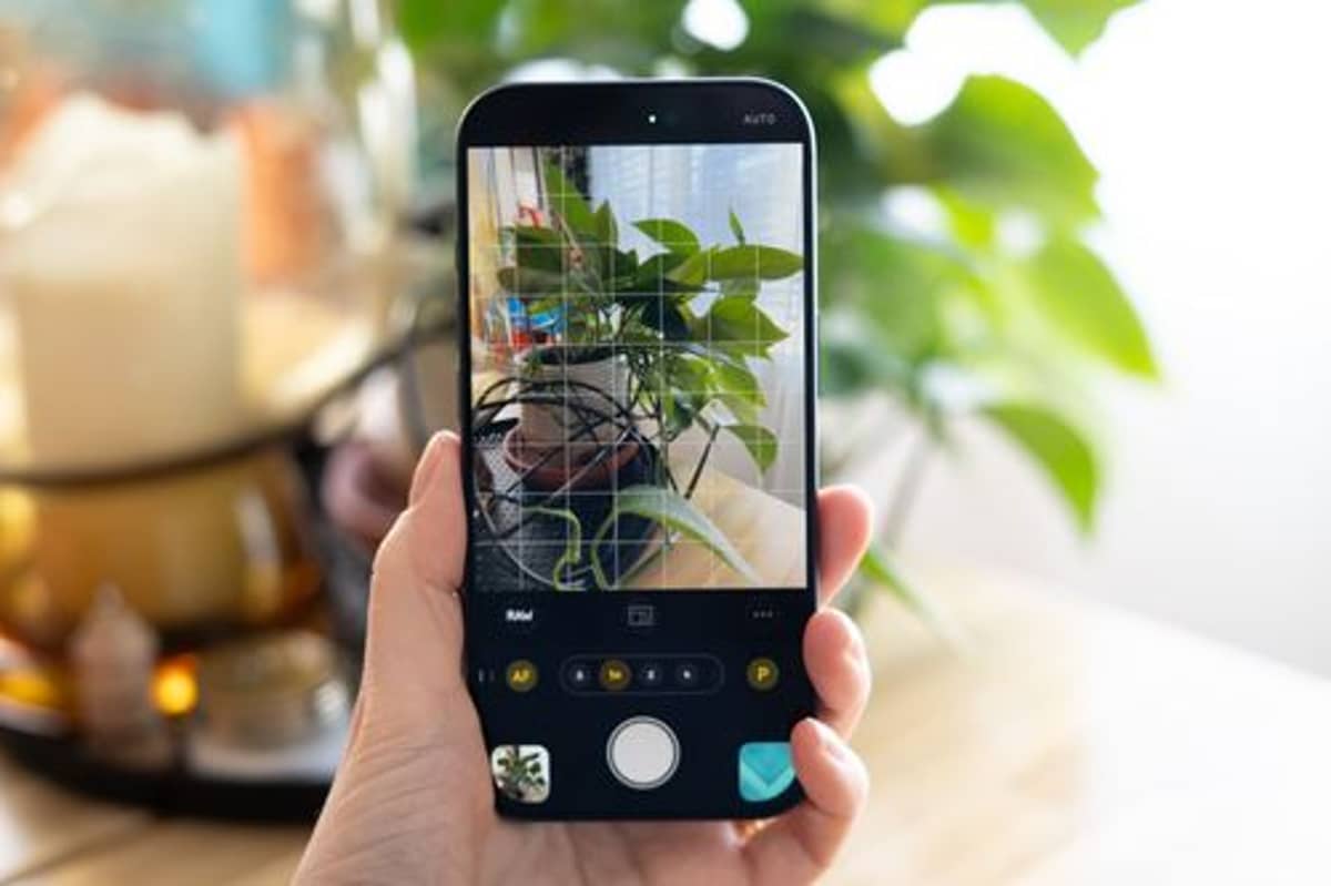 Halide Co-Founder Sues Ex-Partner Over Apple Source Code Claims