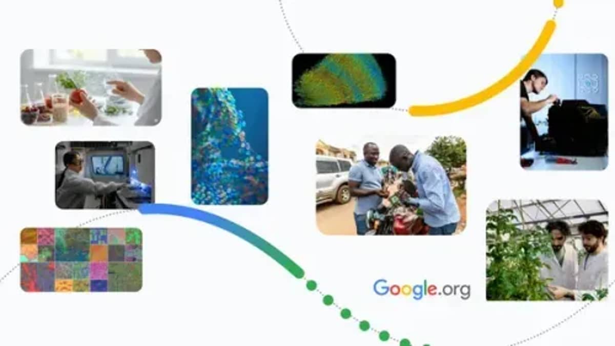Google.org Deploys $20M AI Fund Across 12 Scientific Breakthroughs