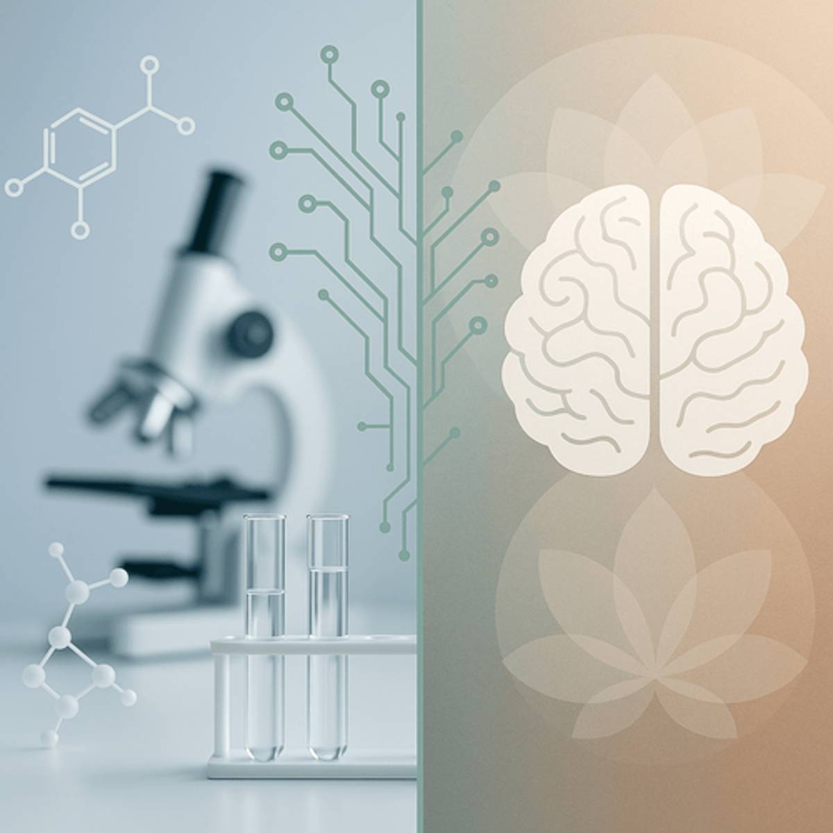 AI Startup Creates Trip-Free Psychedelic That Keeps Benefits