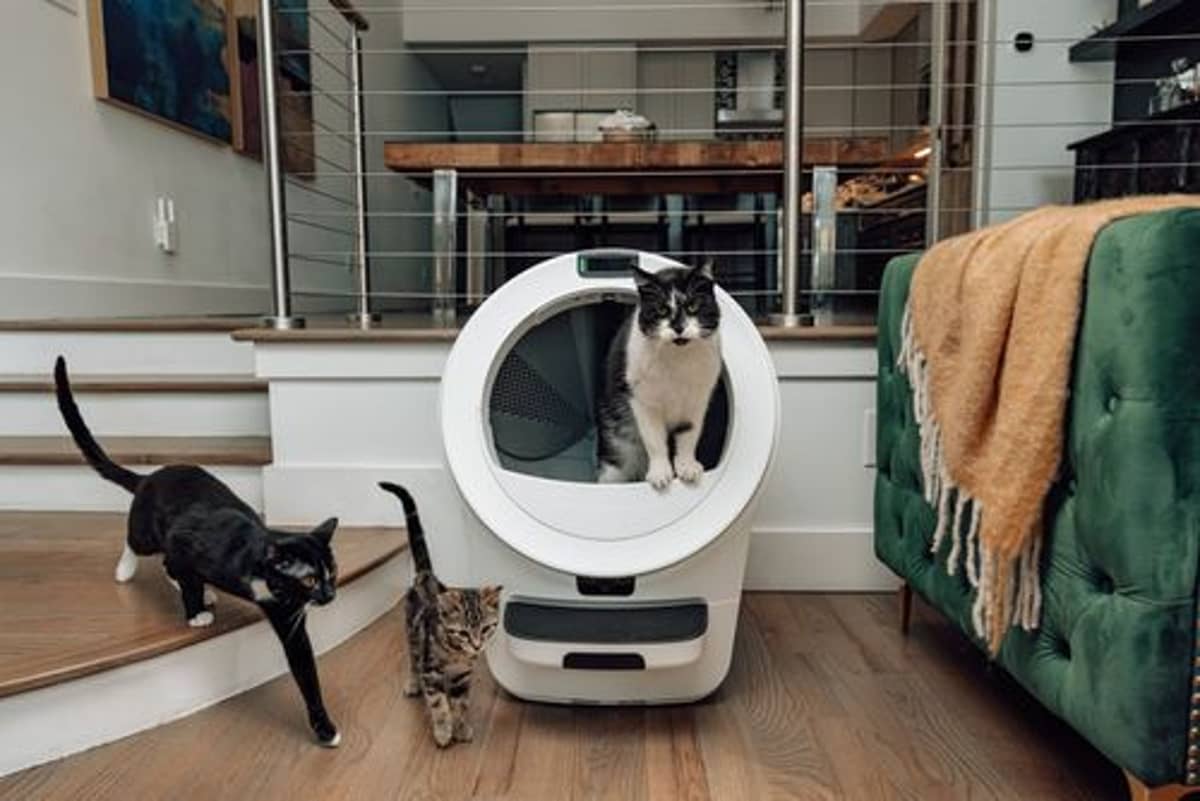 Whisker's $899 Litter-Robot Uses AI to Watch Your Cat Poop