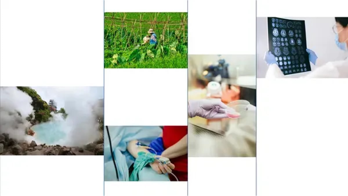 APAC researchers unlock life's secrets using Google's AlphaFold