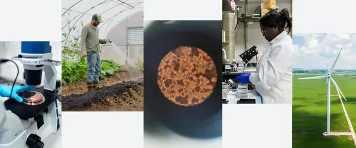 Google.org Launches AI for Science Impact Challenge