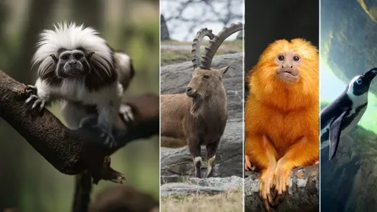 Google AI helps sequence genomes of 13 endangered species