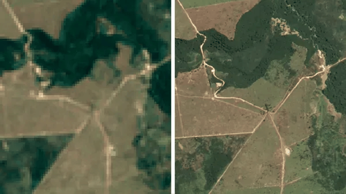 Google Maps Brazilian Forests With AI-Powered Satellite Tech