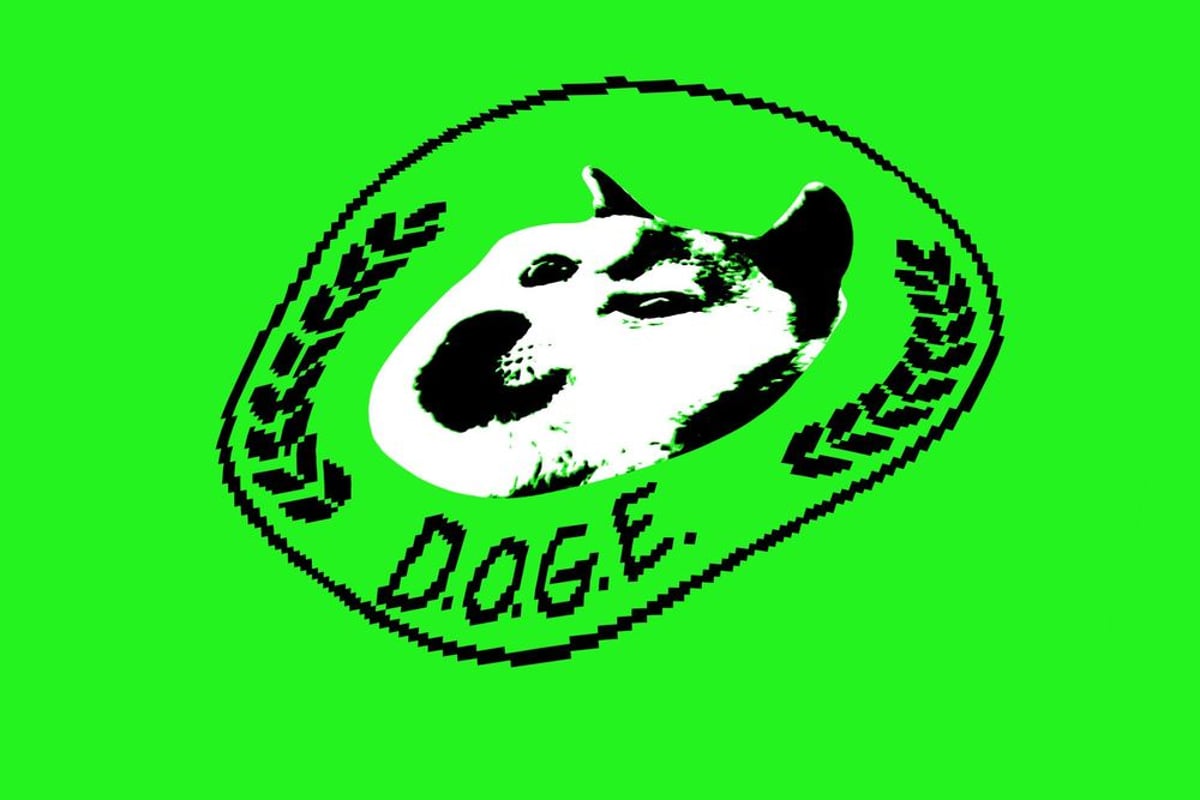 DOGE Stores Every American's SSN on Insecure Cloud Server