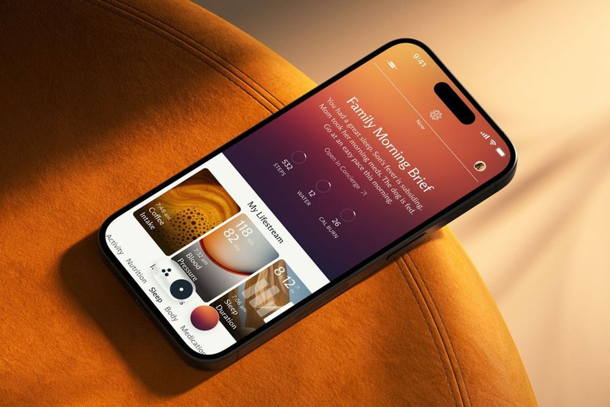 Fitbit Founders Return with AI Health Platform Luffu