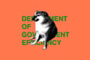 DOGE Dissolves After Musk Exit Triggers Government Chaos