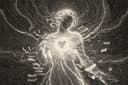 Can Claude Experience Human Emotions?